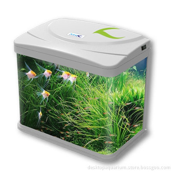 LED Desktop Aquarium